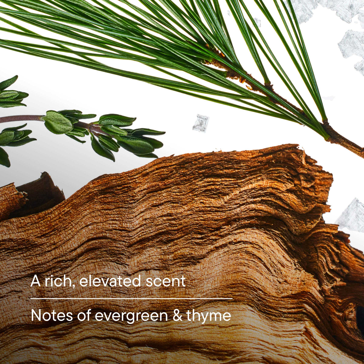 Bar Soap 4oz